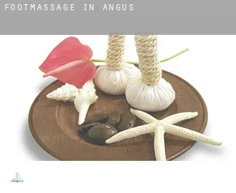 Foot massage in  Angus